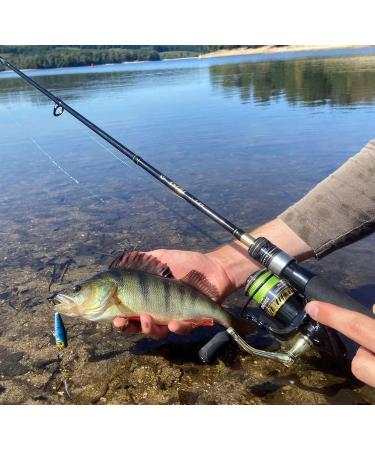 8-strand fishing braid 10/100 to 20/100 200m Multicolor Green predator sea pike trout - Buy Online on GoSupps.com