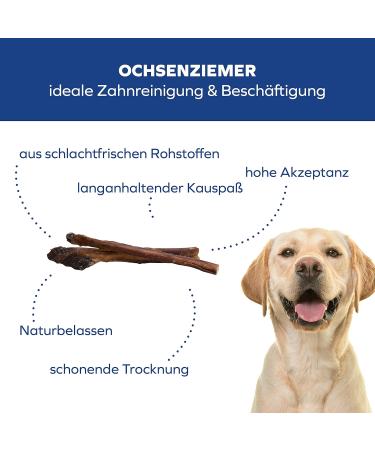 Buy Schwenner Pet Food - 12cm Ochsenziemer Chews for Dogs | 20 Pack | Long-Lasting 650g Chewing Treats - Buy Online on GoSupps.com