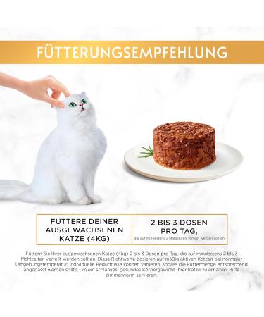 Gourmet Gold Refined Ragout Wet Cat Food with Beef - 12-Pack (12 x 85g) | Premium Cat Cuisine for International Shipping - Buy Online on GoSupps.com