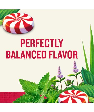 Celestial Seasonings Peppermint Herbal Tea Caffeine Free 20 Tea Bags Box Pack Of 6 - Buy Online on GoSupps.com