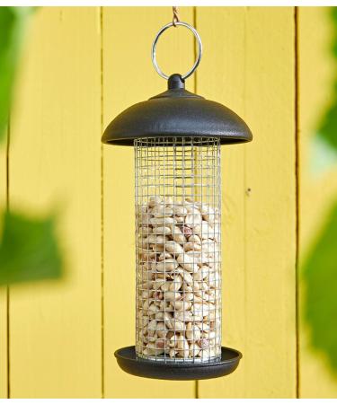 Dehner Natura Wild Bird Food - 5 kg Half/Whole Peanuts for Healthy Wild Birds | Premium Quality International Shipping - Buy Online on GoSupps.com