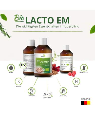 Yoyosan Lacto em Bio | 32 Living Bacterial Cultures | 100% Organic & Vegan Probiotics for Healthy Gut Flora | Certified & Lab-Tested | Free of Additives - Shop Internationally - Buy Online on GoSupps.com