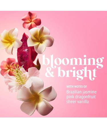 Buy SOL DE JANEIRO Collagen Boosting Beija Flor Elasti-Cream Body Cream Set - International Shipping Available - Buy Online on GoSupps.com