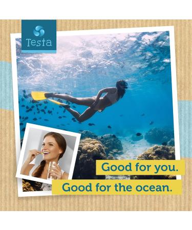 Testa Omega-3 Algae Oil Capsules - Vegan 250mg DHA Supplement - Plant Based, Pure & Healthier Than Fish Oil - 60ct - Buy Online on GoSupps.com