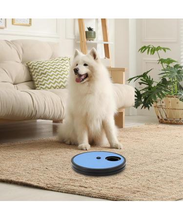 Beowanzk Multifunctional Dog Nail Scratchboard with 6-Compartment Food Storage - Blue - Buy Online on GoSupps.com
