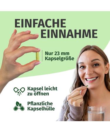 Quercetin 500mg - 180 Vegan Capsules Made in Germany | No Additives | 6 Months Supply - Buy Online - Buy Online on GoSupps.com