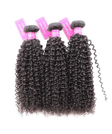 Original Queen Brazilian Virgin Kinky Curly Human Hair Weave 3 Bundles - 8 10 12 Inches - Buy Online on GoSupps.com