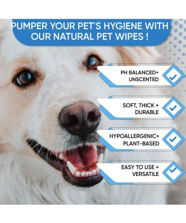 Dog Wipes for Dogs Cats 200 Wipes All Purpose Cleaning Pet Wipes Dog Ear Wipes Quick Easy Grooming for Bums Body Paws Eyes for A Easy & Speedy Freshen-Up 2 Travel Pack - Buy Online on GoSupps.com