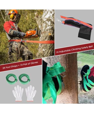 Hlieeeosfcn Tree Climbing Spike Set - Non-Slip Tree Climbing Equipment with Safety Belt | Durable Climbing Tools for Safe Outdoor Adventures - Buy Online on GoSupps.com