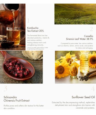 Dr.Ceuracle Vegan Kombucha Tea Gel Cream | All-in-One Vegan Gel Cream for All Skin Types | 2.65 fl.oz - Buy Online on GoSupps.com