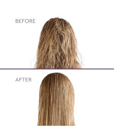 SUTRA Professional Moroccan Hair Mask - Organic Deep Conditioning Treatment - Jojoba & Vitamin E Oil - 10.14 oz - Buy Online on GoSupps.com