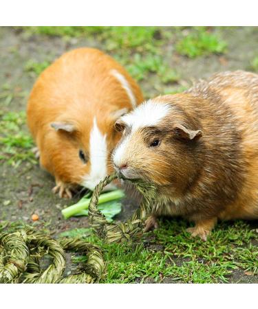 Roundler 20-Piece Rabbit Cake Stuff - Natural Timothy Hay Stick & Tooth Grinding Grass Ring Toys for Rabbits Chinchillas Hamsters & Guinea Pigs - Healthy Snacks & Chew Toys - Buy Online on GoSupps.com