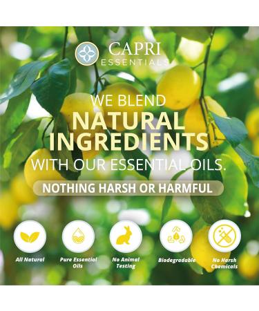 CAPRI ESSENTIALS Hand Soap Liquid Natural Household Cleaning Supplies Gentle Plant Based Aromatic Hand Wash with a Blend of Essential Oils Removes Dirt & Grime Lemon Verbena Scent 16 FL Oz 1 Count (Pack of 1) - Buy Online on GoSupps.com