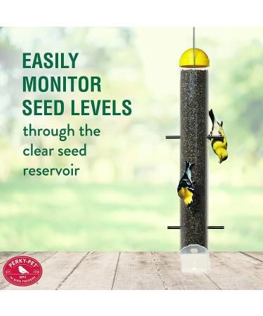 Perky-Pet 399 Thistle Feeder - Patented Upside Down Design - Buy Online on GoSupps.com