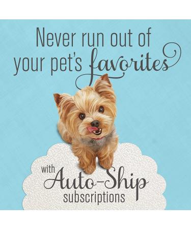 Purina Bella Wet Dog Food - Grilled Chicken in Savory Juices - 12 Pack of 3.5 oz. Trays - Buy Online on GoSupps.com