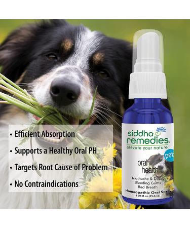Siddha Remedies Oral Health for Pets | Natural Dog & Cat Tooth Care, Bad Breath Spray & Healthy Gums Solution - Buy Online on GoSupps.com