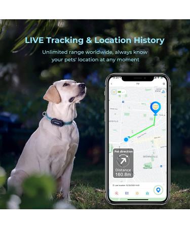 DOGNESS Waterproof GPS Tracker for Dogs and Cats - Live Tracking & Emergency Alerts - Size M - Buy Online on GoSupps.com