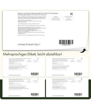 Swanson Lactobacillus Rhamnosus with FOS - 5 Billion KBE 60 Capsules | Gluten-Free Non-GMO Probiotic Supplement - Buy Online on GoSupps.com