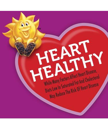 Kellogg's Raisin Bran Crunch Cereal - Original, 43.3 oz | Good Source of Fiber - Buy Online on GoSupps.com