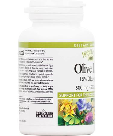 Natural Factors Olive Leaf Extract 500mg - 60 Capsules | Immune Support & Antioxidant - Buy Online on GoSupps.com