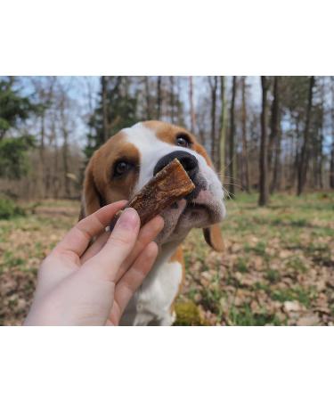 OGF Dental Hygiene for Dogs - 100% Natural - Teeth Brushing Aid - Natural Treats OGF (S) - Buy Online on GoSupps.com