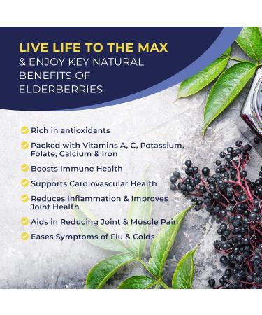 MaxImmunity Organic Elderberry Syrup - 30 Day Supply - Immune Support Liquid Drops - Sambucus Extract for Kids & Adults - Extra Strength (1 Pack) - Buy Online on GoSupps.com