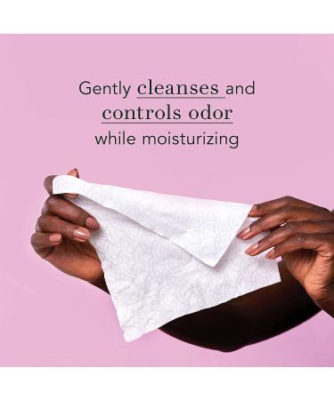 Rael Soothing Feminine pH Wipes - Fragrance Free | pH-Balanced | Paraben Free | 90 Count (3 Pack) - Buy Online on GoSupps.com