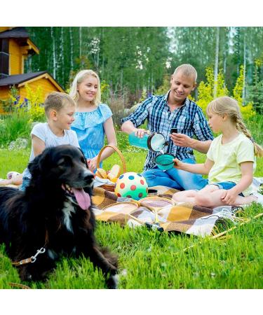 Womgf 2-in-1 Dog Water Bottle & Food Container - 800ml with 2 Folding Bowls - Pet Travel Bottle (Blue) - Ideal for Dogs - Buy Online on GoSupps.com