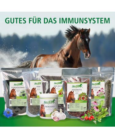 Stiefel Hemp Seed 650 g - Buy Online on GoSupps.com