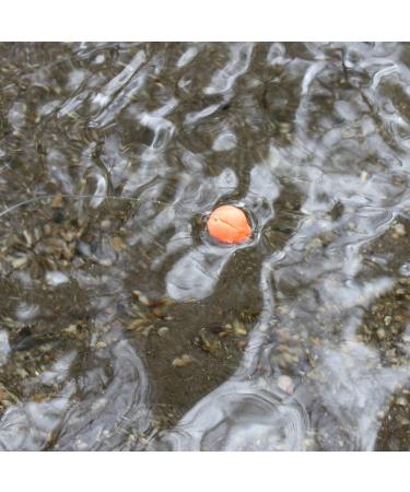 Loon Outdoors Biostrike Orange: High-Visibility Fly Fishing Indicator - Buy Online on GoSupps.com