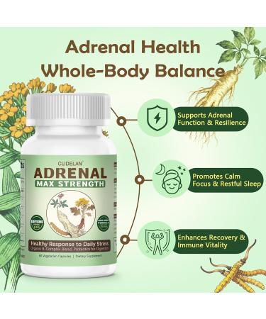 Adrenal Support Supplements for Daily Balance Supports Stress Relief with Adaptogens Herbs (Rhodiola, Ginseng, Cordyceps), Organic B-Complex & Probiotics for Stress, Fatigue & Energy, 60 Capsules - Buy Online on GoSupps.com