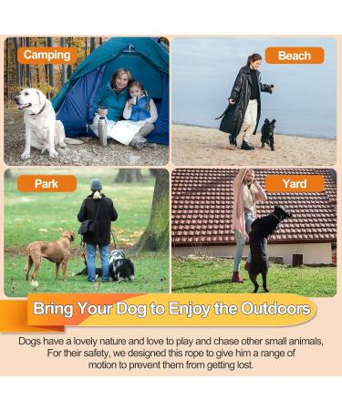 Durable Dog Leash for Large Dogs - 3.4m Tensioning Cable Sunset Chevron Design Ideal for Outdoors & Farms | Robust 120lbs (55kg) Capacity - Buy Online on GoSupps.com