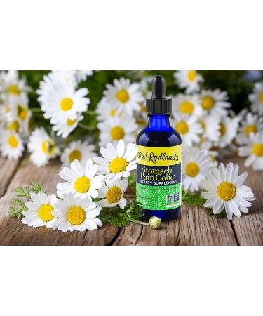 Dr. Rydland's Stomach & Colic Liquid Herbal Formula (2oz) - Pleasant Tasting Formula - Buy Online on GoSupps.com