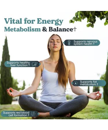 Big Valley Labs Methylated B-Complex Vitamin Capsules Activated Coenzymated B-Complex with Methyl B12 Methylfolate & P5P High-Absorption Methyl B Vitamins Vegan Non-GMO 30 Capsules - Buy Online on GoSupps.com