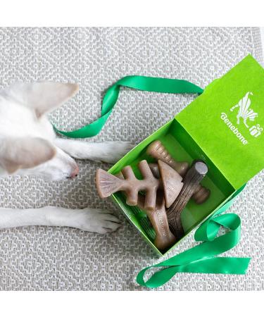 Benebone Durable Dog Chew Toy Box for Aggressive Chewers - Wishbone, Fishbone, Stick & Zaggler Medium - Buy Online on GoSupps.com