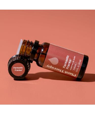 Plant Therapy Fantastic Franks Essential Oil Blend 10 mL (1/3 oz) 100% Pure Undiluted Therapeutic Grade Fantastic Franks 0.34 Fl Oz (Pack of 1) - Buy Online on GoSupps.com