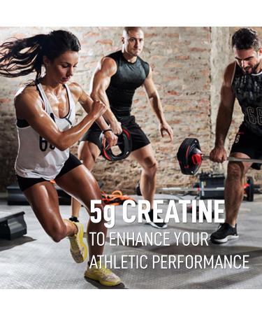LEANFIT SPORT CREATINE MONOHYDRATE Powder Unflavoured - Creatine Supplement for Increased Muscle Mass Enhanced Energy & Improved Performance - Informed Choice Certified Micronized & Pharmaceutical Grade Creatine Gluten-Free Vegan - 5g Creatine Per Serving - Buy Online on GoSupps.com