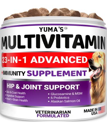 Dog Multivitamin Chews - 23-in-1 Dog Vitamins - Immune Support Glucosamine Cranberry Salmon Oil - Vet-Formulated - Made in USA