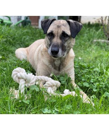 Go Rilla Dog Rope Toys Set for Medium/Large Dogs | Interactive Chicken Stuffed Toys | Durable & Cleaning-Friendly | Perfect for Puppies! - Buy Online on GoSupps.com