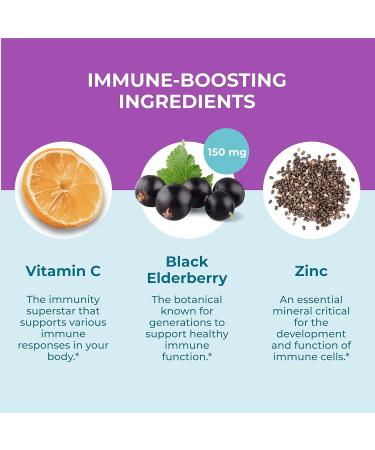 Hyland's Organic Elderberry Plus Gummies Organic Black Elderberry with ZINC and Vitamin C Immune Support Supplement for Adults 60 Vegan Gummies (30 Days) Adult - 60 Count 60 Count (Pack of 1) - Buy Online on GoSupps.com