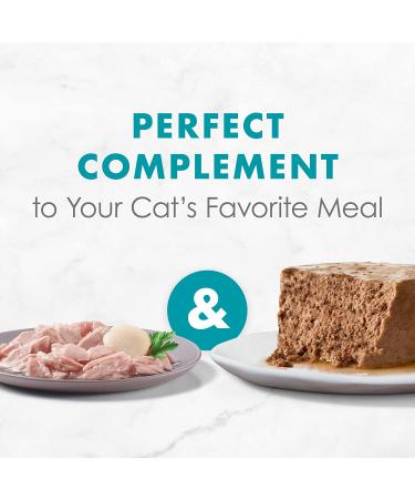 Purina Fancy Feast Appetizers Adult Gourmet Wet Cat Food - Light Meat Tuna & Scallop, 1.1oz (Pack of 10) - Buy Online on GoSupps.com