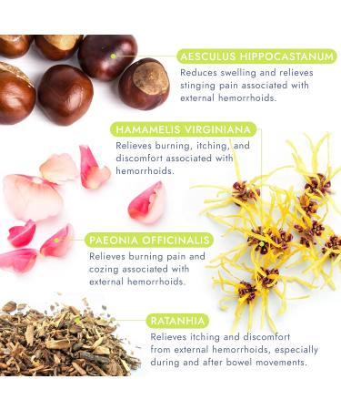 Hemorrhoid Treatment Ointment - Fast Relief for Pain Swelling & Itching | 7 Pre-Filled Applicators | Effective Fissure Care - Buy Online on GoSupps.com