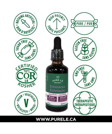 Echinacea Angustifolia Root Super Strength Holistically Standardized Fluid Extract 50ml - Buy Online on GoSupps.com