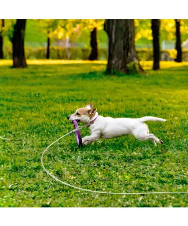 Snagle Paw 30ft Large Dog Leash - Heavy Duty Runner for Courtyards & Camping Up to 90lbs - Buy Online on GoSupps.com