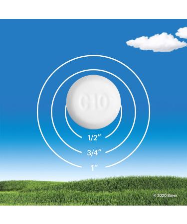 Claritin Rapid Dissolve Allergy Medicine 24-Hour Non-Drowsy Relief 10 mg 10 Tablets - Buy Online on GoSupps.com