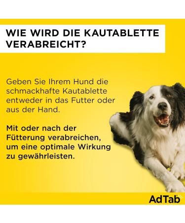 Effective Tick & Flea Protection for Dogs 11-22 kg | Chewable Tablets Quick Action 1-Month Solution - Buy Online on GoSupps.com