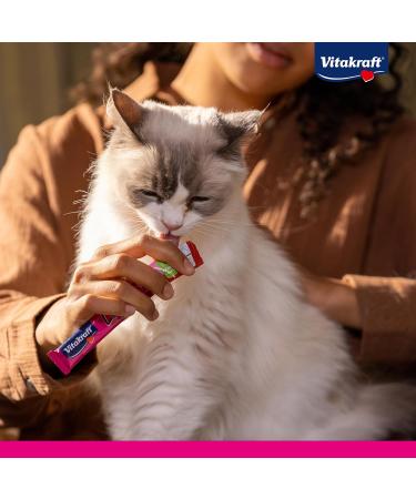 Vita Power Liquid Snack for Cats - Beef & Cat Grass Treats Supports Healthy Gut Flora Low-Calorie (6 Pack) - Buy Online on GoSupps.com