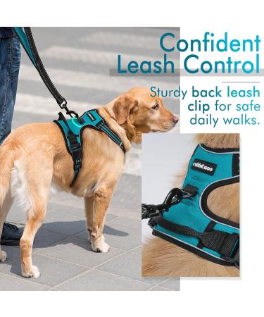 Rabbitgoo Medium Dog Harness - No Pull Adjustable Control Harness for Large Dogs Breathable & Safe Blue-Green (1 Pack) - Buy Online on GoSupps.com