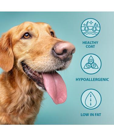 Burns Pet Nutrition Hypoallergenic Complete Dry Dog Food Adult and Senior Dog Original Chicken and Brown Rice 12 kg Chicken 12 kg (Pack of 1) - Buy Online on GoSupps.com