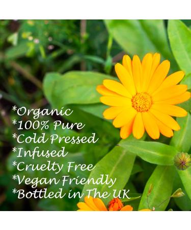 Feelia - Organic Calendula Oil - Infused Cold Pressed Rich in Antioxidants Vitamin E Great for Skincare & Haircare 100% Pure & Organic (100ml) - Buy Online on GoSupps.com